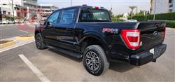 فۆرد F-150